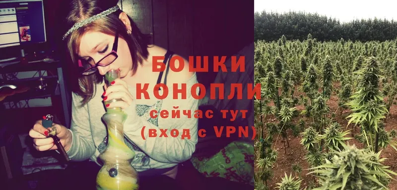 Бошки Шишки White Widow  KRAKEN маркетплейс  Мыски 